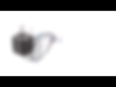 NEMA 8 เส้นผ่านศูนย์กลาง 20 มม. ไบโพลาร์ไฮบริดสเต็ปเปอร์มอเตอร์