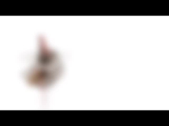 สเต็ปเปอร์มอเตอร์แม่เหล็กถาวรขนาดเล็ก 10 มม. 5v 2 เฟส 18 องศา