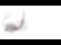 สเต็ปเปอร์มอเตอร์สองเฟสที่มีความก้าวหน้าสูงพร้อมเส้นผ่านศูนย์กลาง 35 มม. และมุมสเต็ป 15 องศา